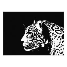 Jaguar-Einladung