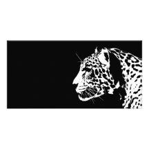 Jaguar Foto Karte