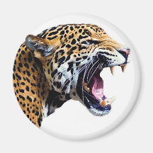 Jaguar Magnete