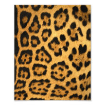 Jaguar-Pelz-Druck Photographischer Druck