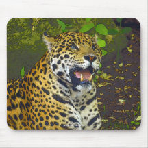 Jaguar, wilde Katze, Tier-Grafik Mousepad