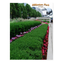Jahrtausend-Park-Blumen Postkarte