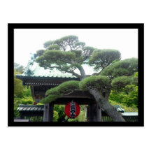 japanischer Baum Postkarten
