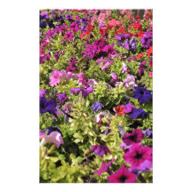 Jardin de flores papelería