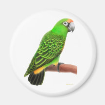 Jardines Papageien-Magnet Kühlschrankmagnet