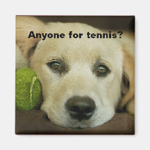 Jedermann für Tennis, goldener Retriever Magnete