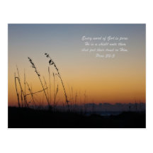 Jedes Wort Gottes ist rein: Prov 30:5 Postkarte