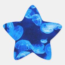 Jellyfish in the Sea Star Stickers