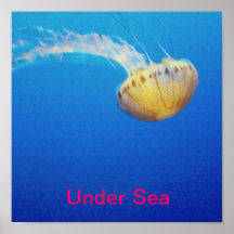 jellyfishin posterdrucke