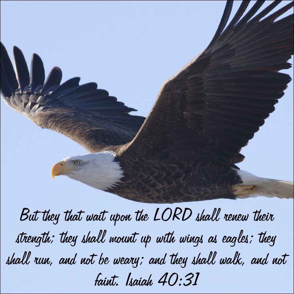 romantik sprüche lustig