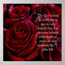 John-3:16-Rosendruck Plakatdrucke