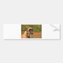 Jolie im Holz Auto Sticker