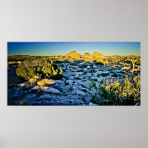 Joshua-Baum-Nationalpark am Sonnenuntergang Plakate