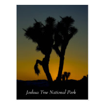 Joshua-Baum-Nationalpark, Kalifornien-Postkarte