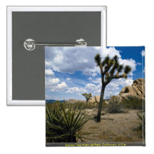 Joshua-Baum-Nationalpark, Kalifornien, USA Anstecknadelbuttons