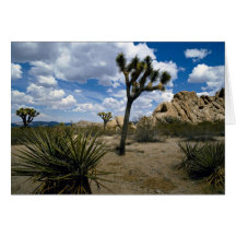 Joshua-Baum-Nationalpark, Kalifornien, USA Karte
