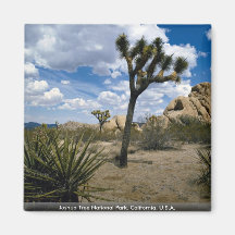 Joshua-Baum-Nationalpark, Kalifornien, USA Magnete