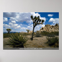 Joshua-Baum-Nationalpark, Kalifornien, USA Posterdrucke