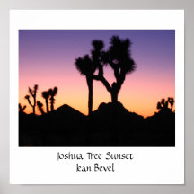 Joshua-Baum Sonnenuntergang-Jean Schrägfläche Posterdrucke