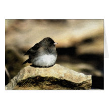 Junco Grußkarten