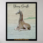 Junge Giraffe am Erholungs-Plakat