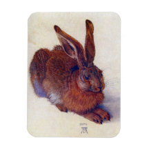 Junge Hasen durch Albrecht Durer, Renaissance-Kuns Vinyl Magnete