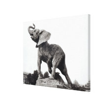 Junger Elefant gefangen in einer Falle Galerie Falt Leinwand