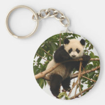 Junger großer Panda Schlüsselbänder
