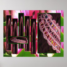 Juwel-Band-Plakat