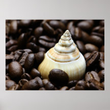Kaffeebohnen Schnecke Posters