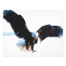 Kahle Amerikaner-Eagle-Landung Personalisierte Ankündigungen