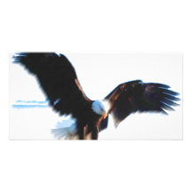 Kahle Amerikaner-Eagle-Landung Fotokarte
