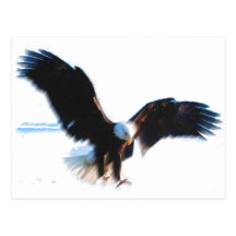 Kahle Amerikaner-Eagle-Landung Postkarten