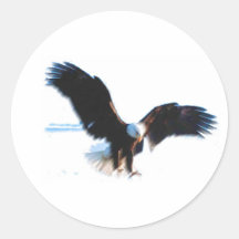 Kahle Amerikaner-Eagle-Landung Sticker