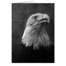 Kahler Adler, Hand gezeichneter Graphit Grußkarte