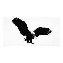 Kahler Adler-Silhouette Foto Karte