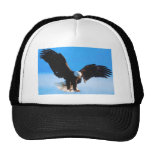 Kahler Amerikaner Eagle Baseball Mützen
