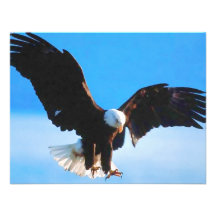 Kahler Amerikaner Eagle Einladungen