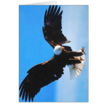 Kahler Amerikaner Eagle Grußkarte