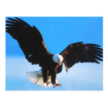 Kahler Amerikaner Eagle Postkarte