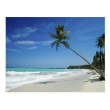 Kaiman-Insel-Strand Postkarte