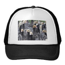Kaiser-Gans-Zusammenfassung Baseballcap