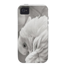 kakadu Case-Mate iPhone 4 case