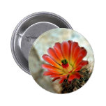 Kaktus-Blume Buttons