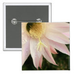 Kaktus-Blumen-Detail Button