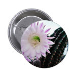 Kaktus-Blumen-Weiß Anstecknadel
