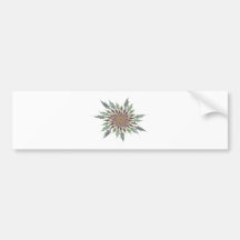 kaktusblüte autosticker
