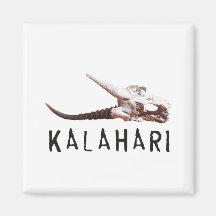 Kalahari-Wüste in Afrika: Toter Antilopenschädel Kühlschrankmagnete