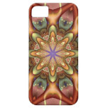 Kaleidoskop iPhone 5 Case-Matedekorativer