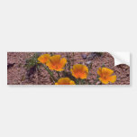 Kalifornien-Mohnblume, Arizona-Rot-Blumen Auto Sticker
